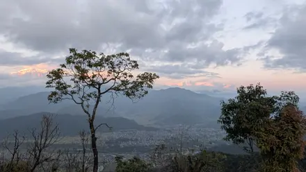 Evening view over a valley city from a forested hill, with the snow peaks of the Annapurna range glowing pink under clouds
