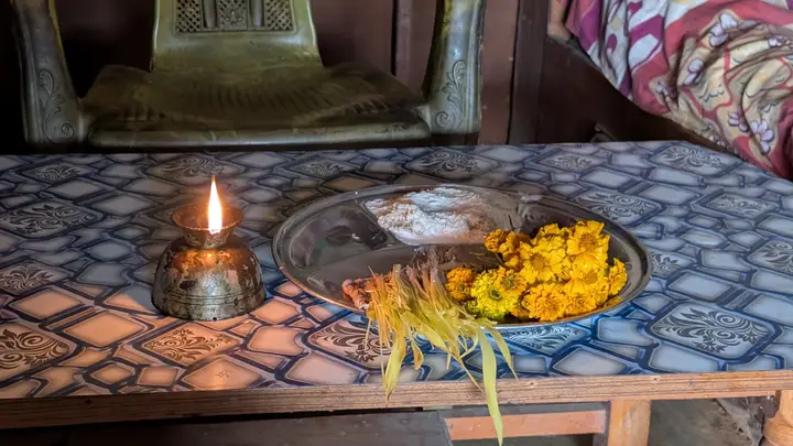 A lit brass oil lamp next to a steel plate with tika rice, orange marigolds and a bundle of yellow jamara shoots