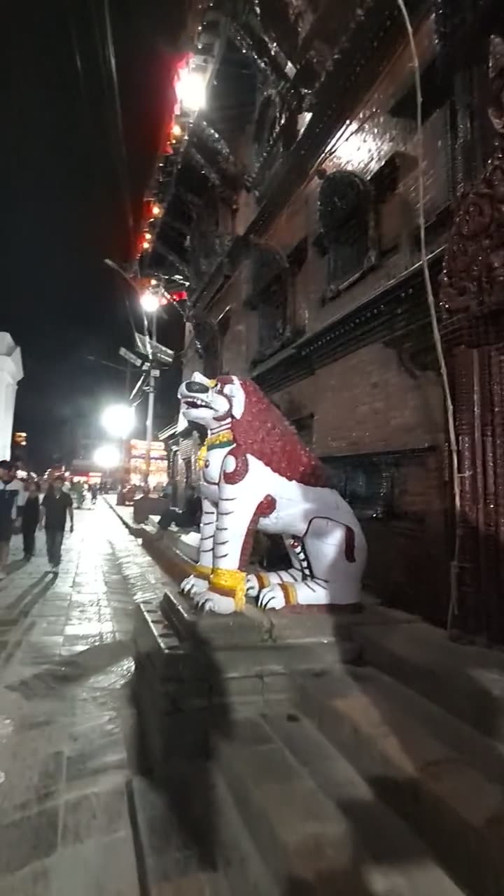 Painted white stone lions guarding temple steps at night